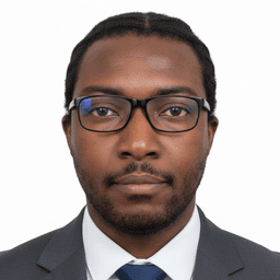 Ing. Sylvester Elorm Awitty